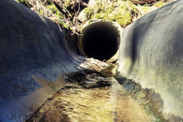 Drainage Swale Installation in Lexington